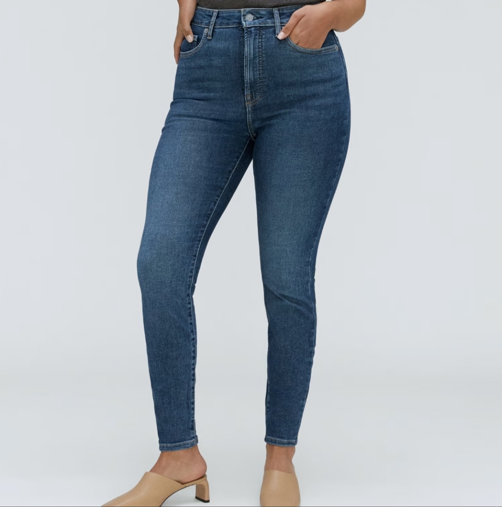 Everlane Curvy Way High Skinny Crop Jeans